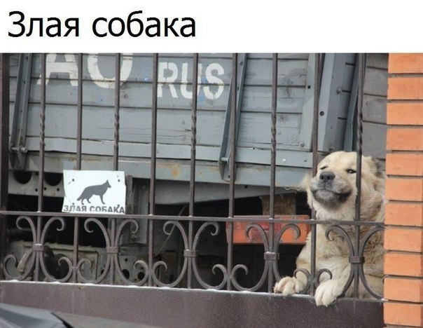 ? ,  ! - 17  2019  03:43