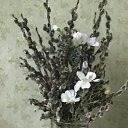 ���� �������, �������� - ��������� 27 ������ 2019 � ������ ������ ��������