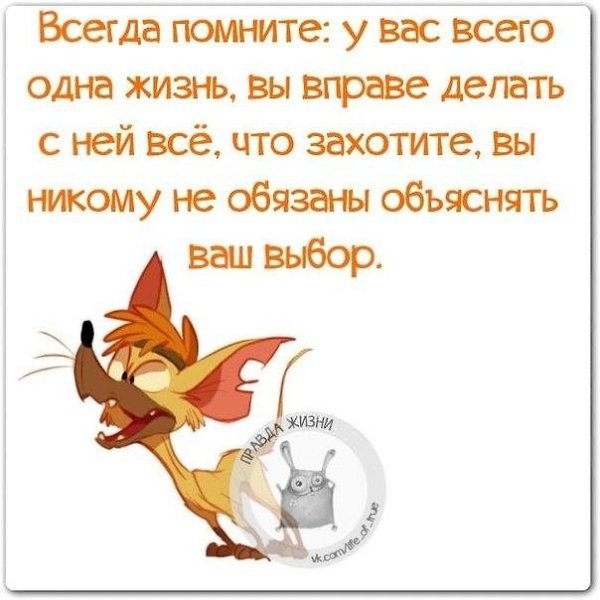   - 8  2019  18:49