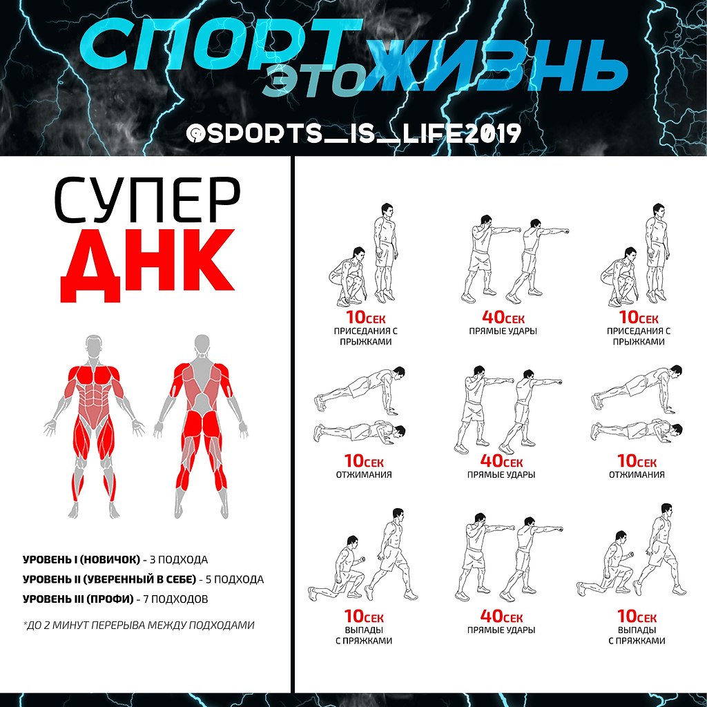СУПЕР ДНК.Супер ДНК это комплекс упражнений двойного назначения. Ты нагружаешь нижнюю часть тела, ...