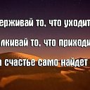 ���� �������, �����, 51 ��� - ��������� 2 ������ 2019 � ������ ���� ����������