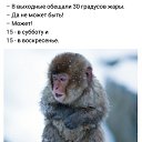 ���� �����, ��������� - ��������� 15 �������� 2019 � ������ ������ ��������