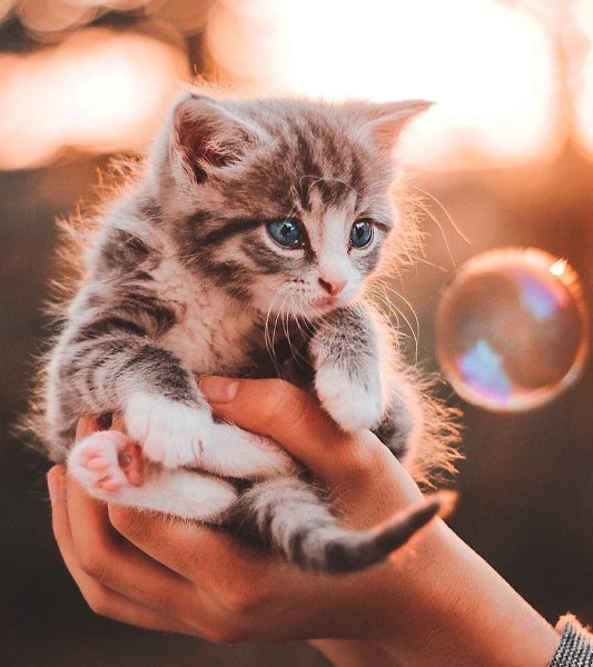 �� ������� ���. ������� ��������. - 4