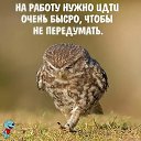 ���� ������, ������������ - ��������� 3 ������ 2019 � ������ ������ ��������