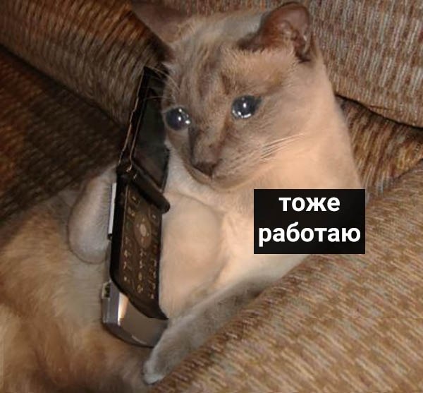    - 4