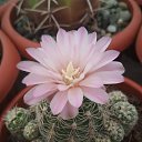 ���� �����, �����������, 56 ��� - ��������� 14 ��� 2019 � ������ ������ ��������