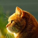 ���� �����, ������, 35 ��� - ��������� 25 �������� 2019 � ������ ���� ����������