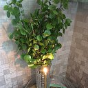 ���� �������, �������� - ��������� 17 ���� 2019 � ������ ������ ��������