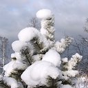 ���� ������, ������, 66 ��� - ��������� 29 �������� 2019 � ������ ������ ��������