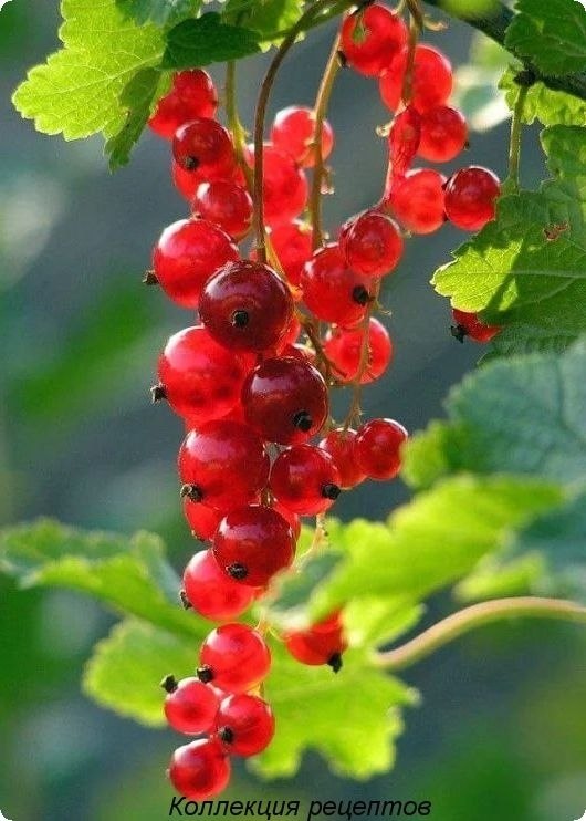   - 15  2019  18:28 - 2