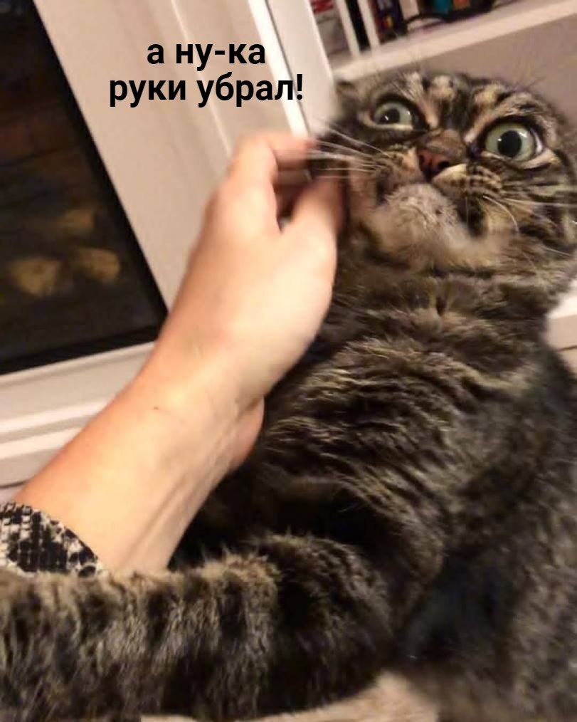  ,  ?  . * *