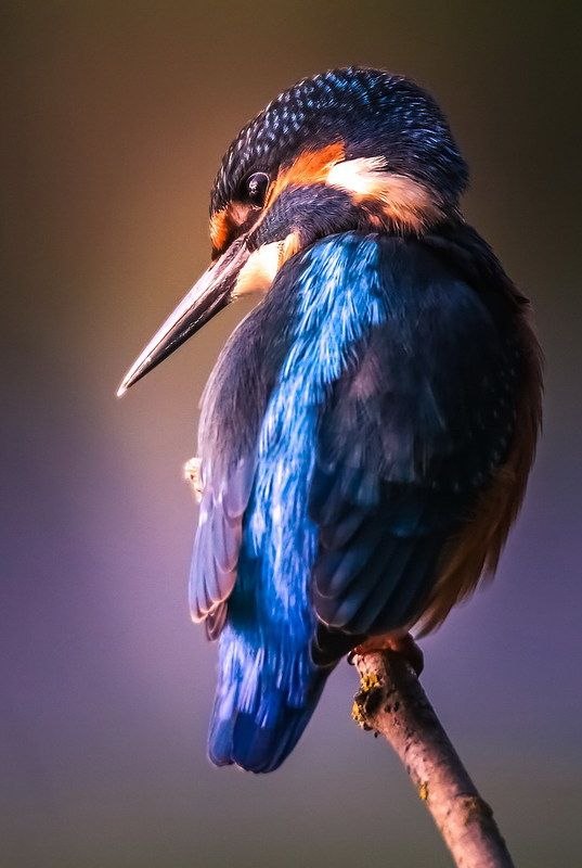  ! - 22  2019  19:18