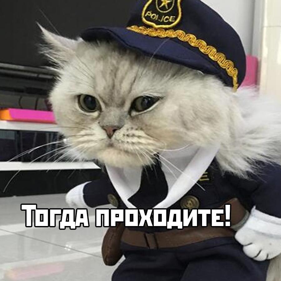 .... - 3