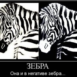 , , 49 