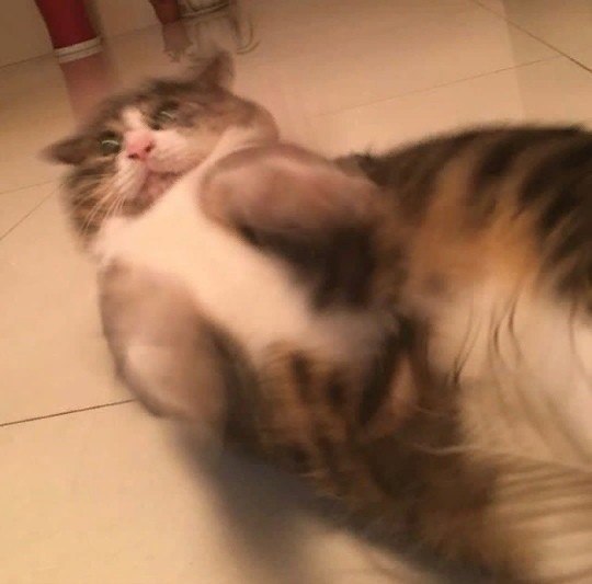      - 8