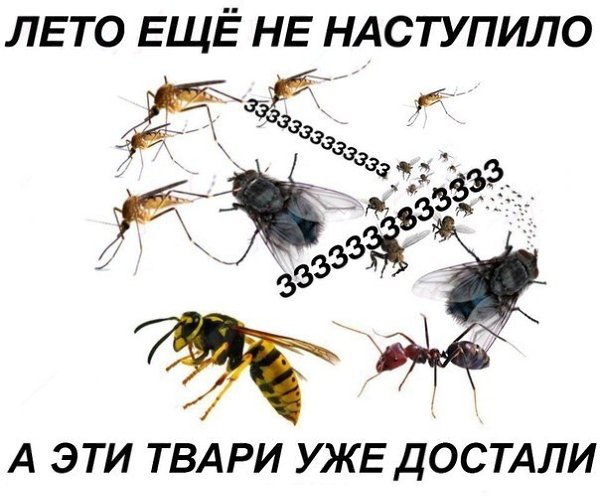 ☆   ☆ - 13  2019  03:52
