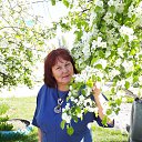 ���� �������, ������, 62 ���� - ��������� 20 ��� 2019 � ������ ���� ����������