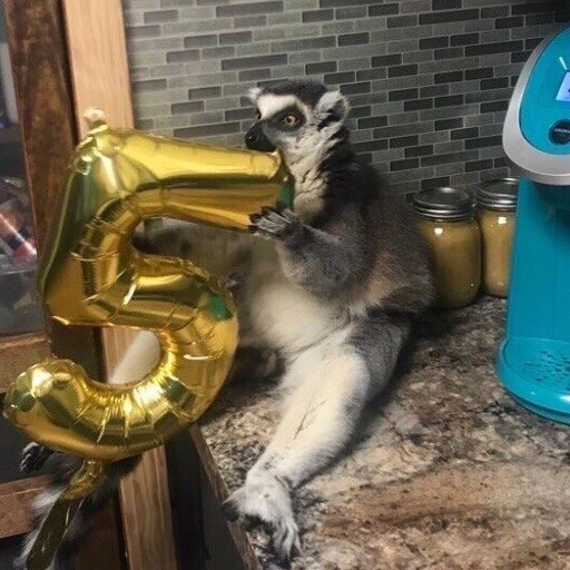        - 2