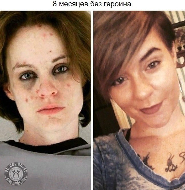   ,     : - 6