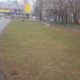 ������, ������, 35 ���