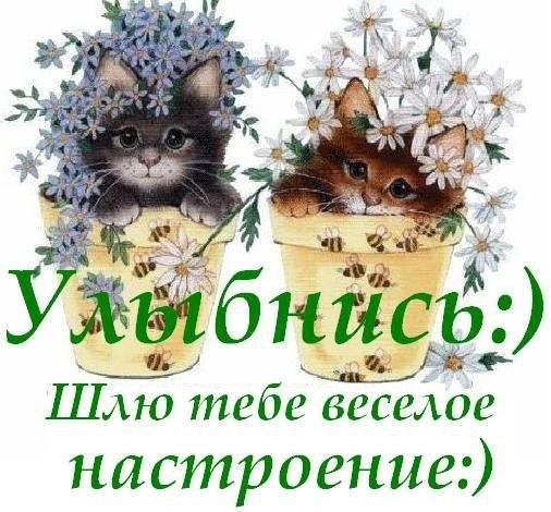 Пожелаю хорошего дня, И отличного настроения. Новый день пусть принесет Только лучшее, счастье, ...