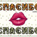 ���� ��������, ��������, 67 ��� - ��������� 2 ���� 2019 � ������ ���� ����������