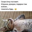���� ������, ������, 52 ���� - ��������� 3 ������ 2020 � ������ ���� ����������
