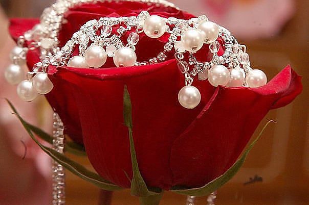   ,    . - 21  2019  19:33