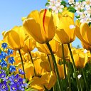 ���� ��������, �����, 53 ���� - ��������� 21 �������� 2019 � ������ ���� ����������