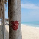 ����� ���������� ����� �� ������� ���� ����������