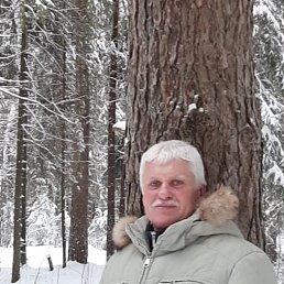 ���� �������, ������, 62 ���� - ��������� 2 ������ 2020