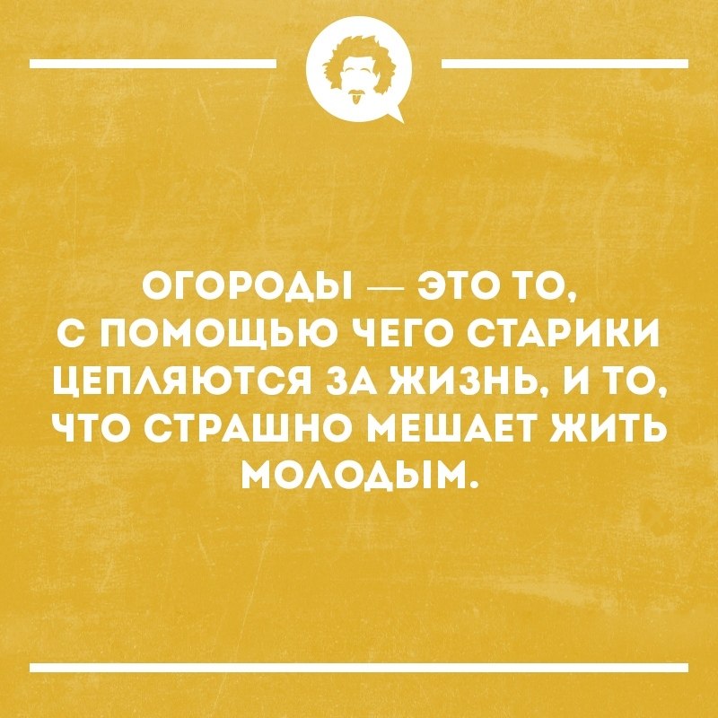   - 8  2019  03:39