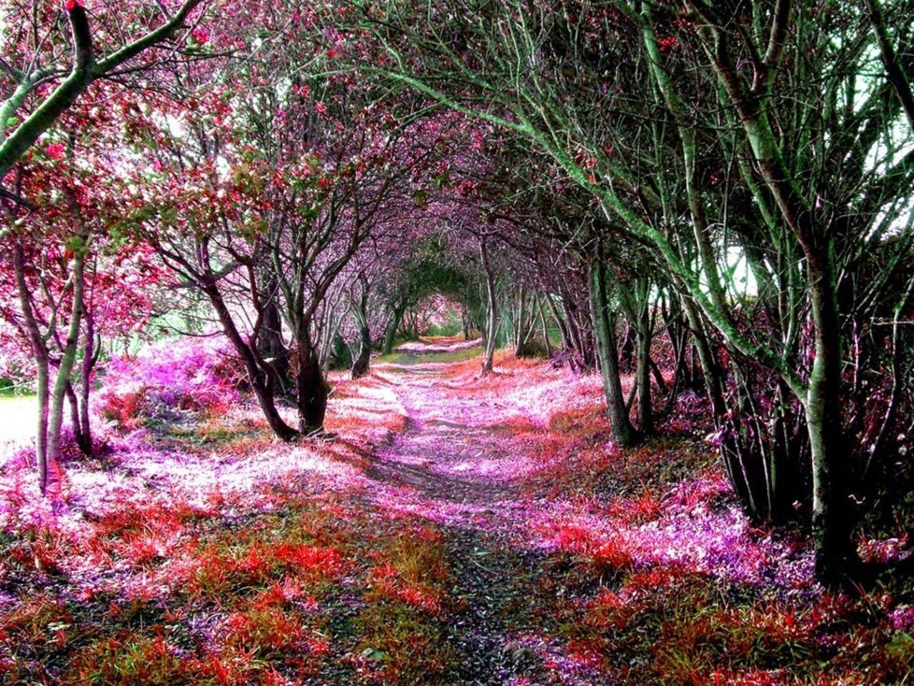  -    .#@travel.blog
