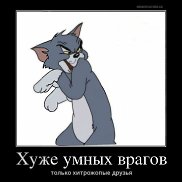 �����, 65 ���, ������