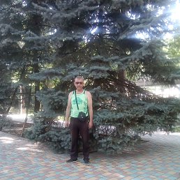 ���� ����, ��������, 50 ��� - ��������� 24 ���� 2019