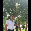  Hovo, , 33  -  16  2019    