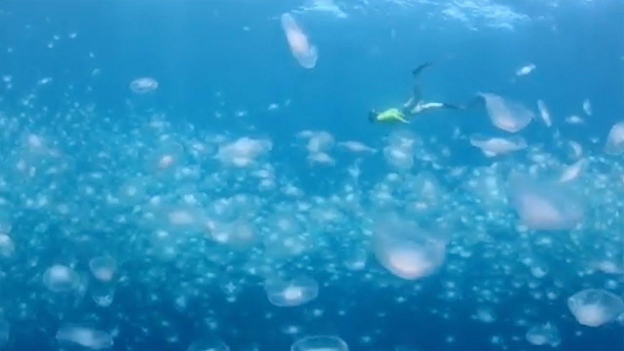 ,  -.          . ... - 2