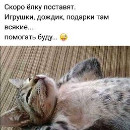 ������, ������, 52 ����