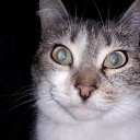 ���� �������, �����������, 47 ��� - ��������� 22 ������� 2019 � ������ ���� ����������