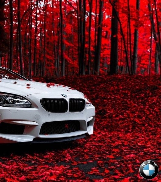 BMW M6 F13