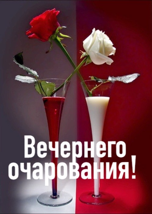   ,    . - 19  2019  18:24