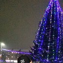 ���� ������, ������, 47 ��� - ��������� 5 ������ 2019 � ������ ���� ����������