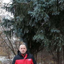 �������� �������, ��������, 41 ���