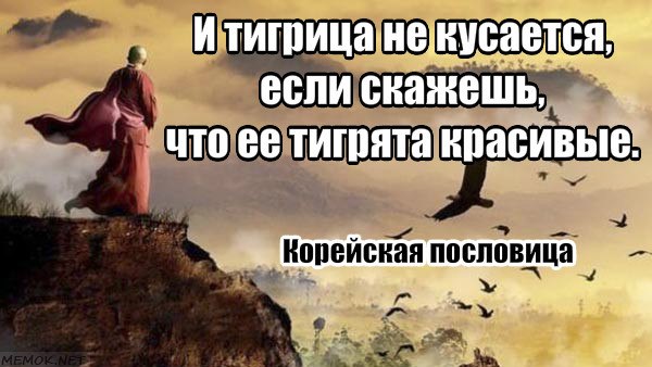   - 6  2019  08:57