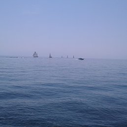 �����, ������, 56 ���