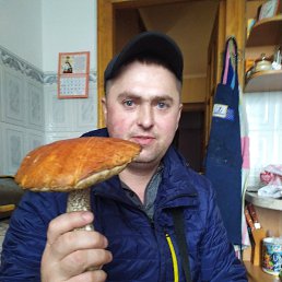 Володимир, 38, Калуш