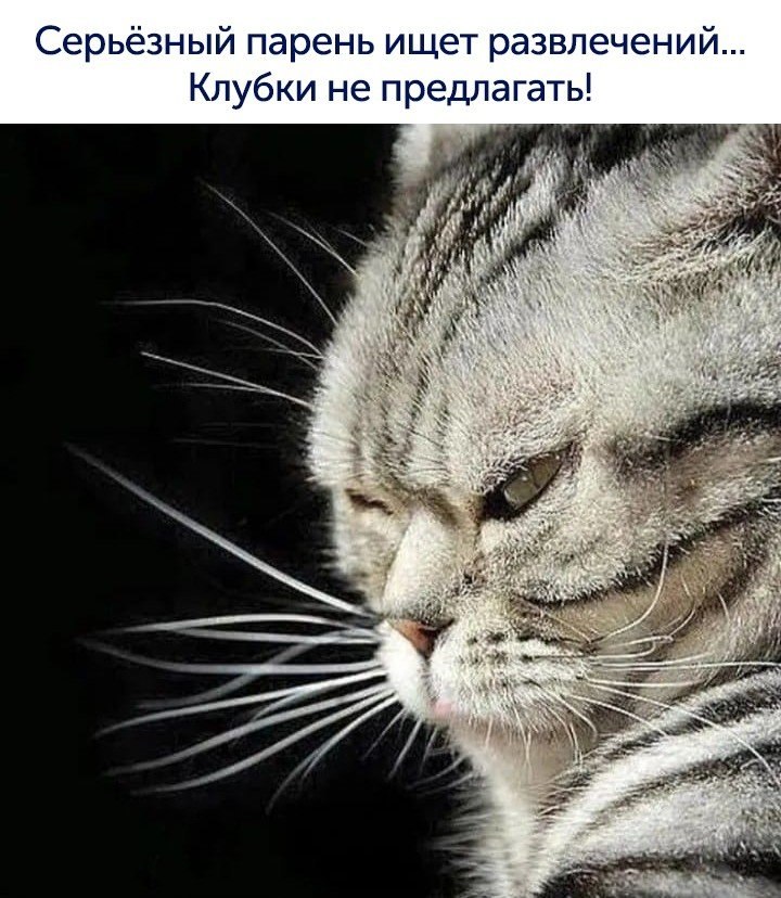  - 12  2019  18:06