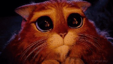 ���� ��������, ������������, 56 ��� - ��������� 4 ������ 2020