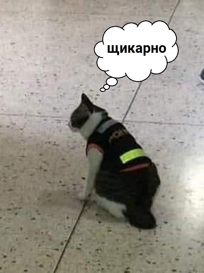     ,      - 2