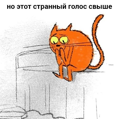  - 25  2019  19:49 - 3
